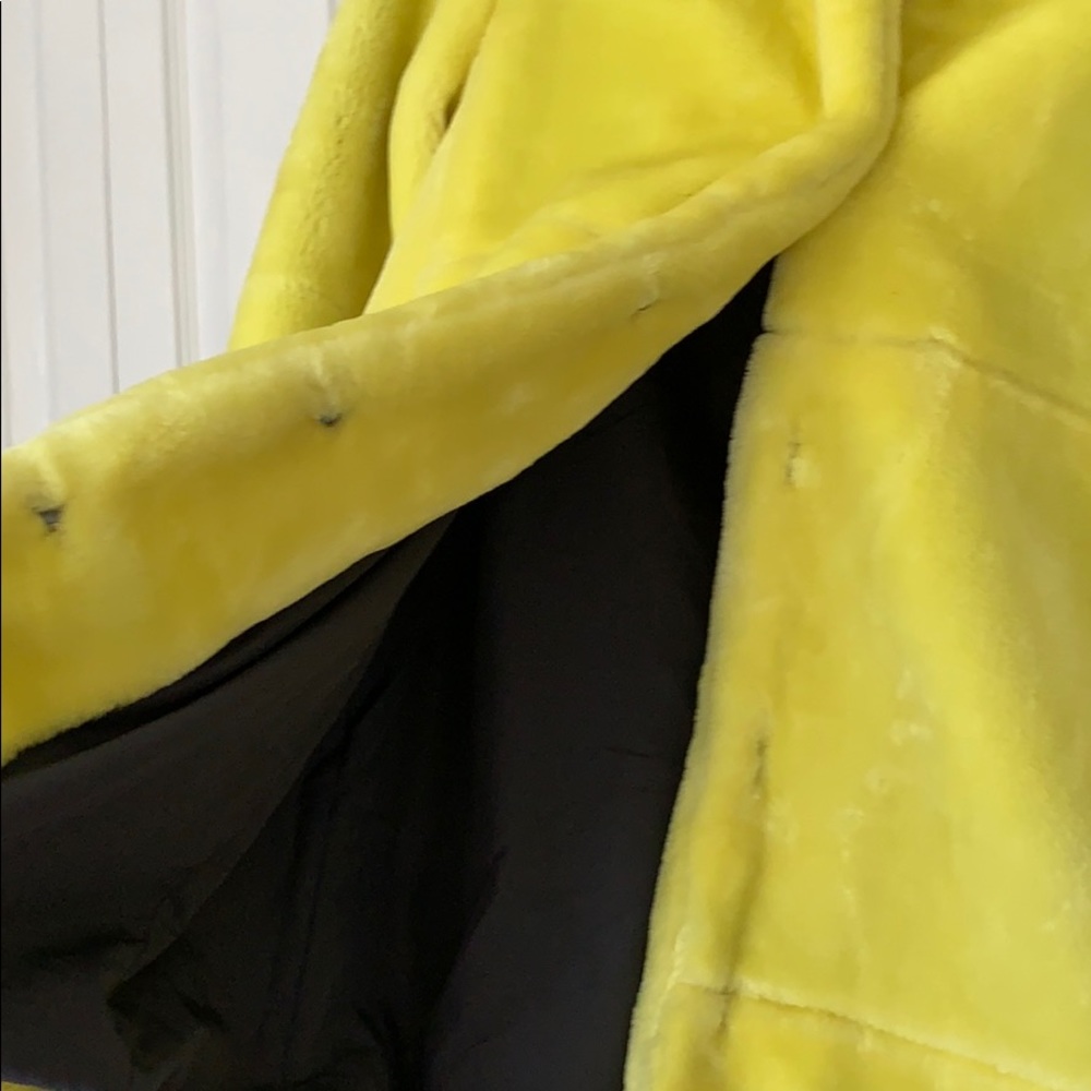 Zara Faux Fur Coat - Picture 6 of 6